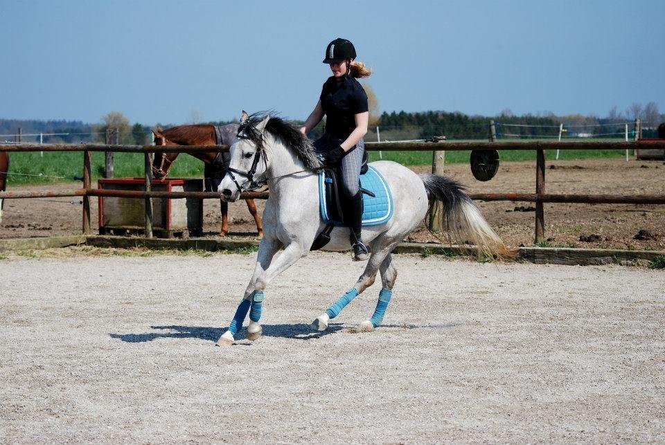 Anden særlig race Asgårds Frigg<3 billede 3