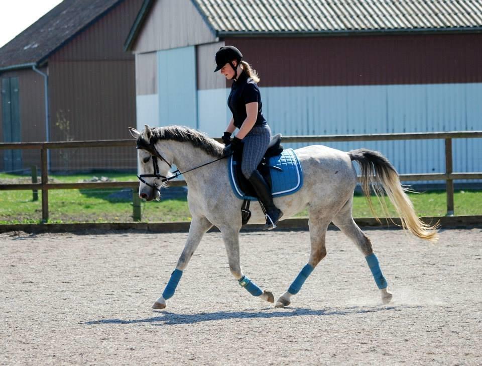 Anden særlig race Asgårds Frigg<3 billede 9