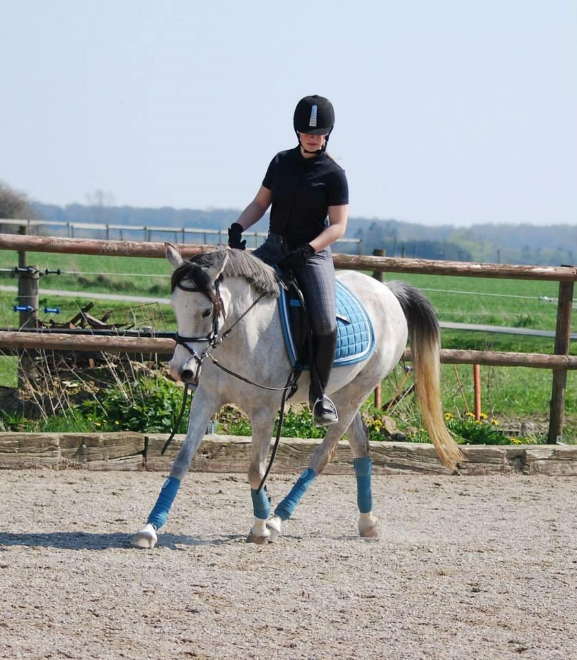 Anden særlig race Asgårds Frigg<3 billede 15