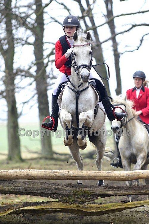 Hollandsk Sportspony Cadiz  - Første jagt! :) billede 8