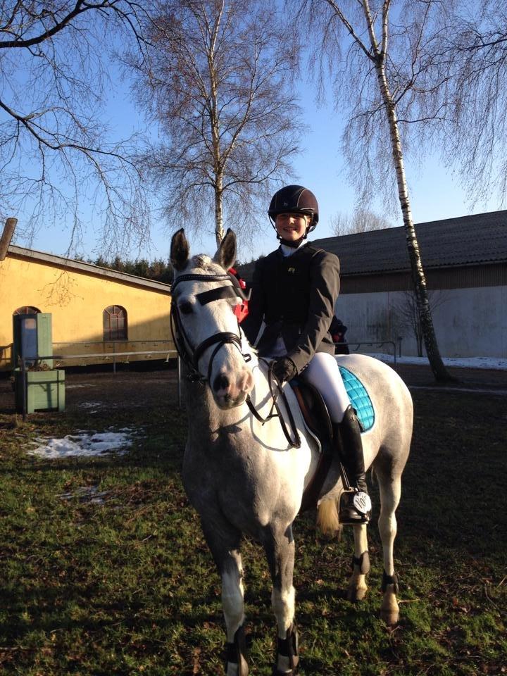 Pinto Vindbjergs Starlight billede 13