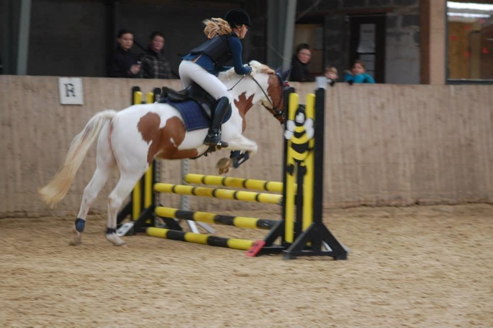 Pinto Miss Ozzie billede 11