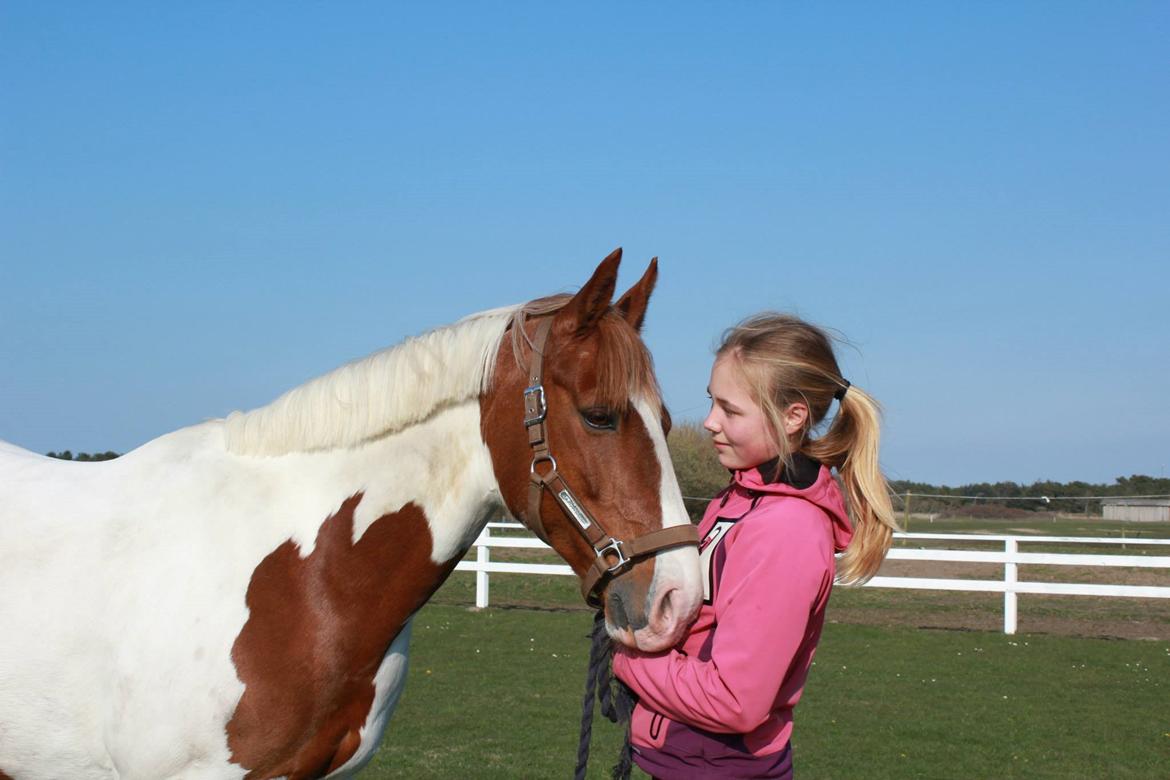 Pinto Miss Ozzie billede 14