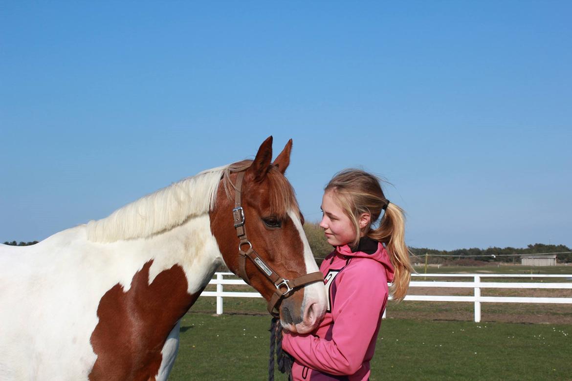 Pinto Miss Ozzie billede 15