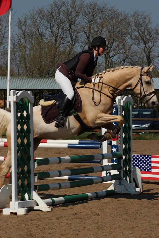 Palomino Duchess billede 18