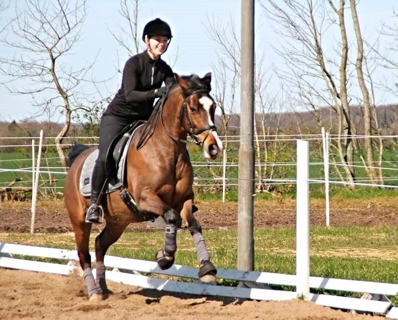 Anden særlig race Bonette - Vildbasser efter dressur - bøller billede 13