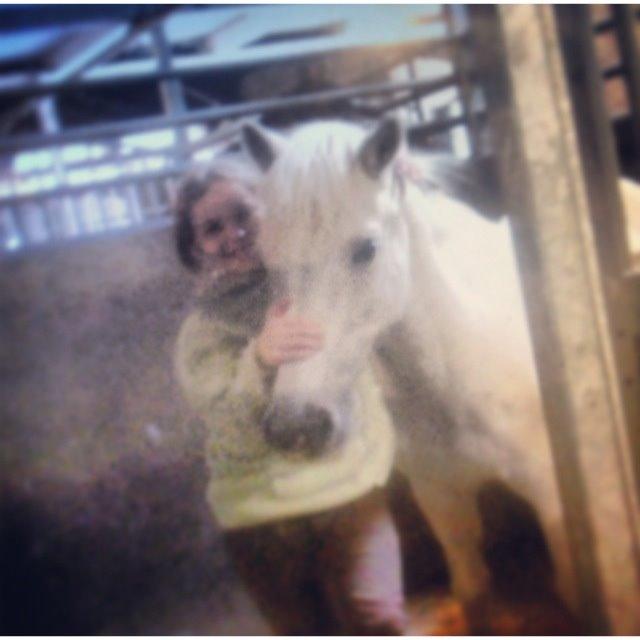 Anden særlig race Junker <3 billede 24