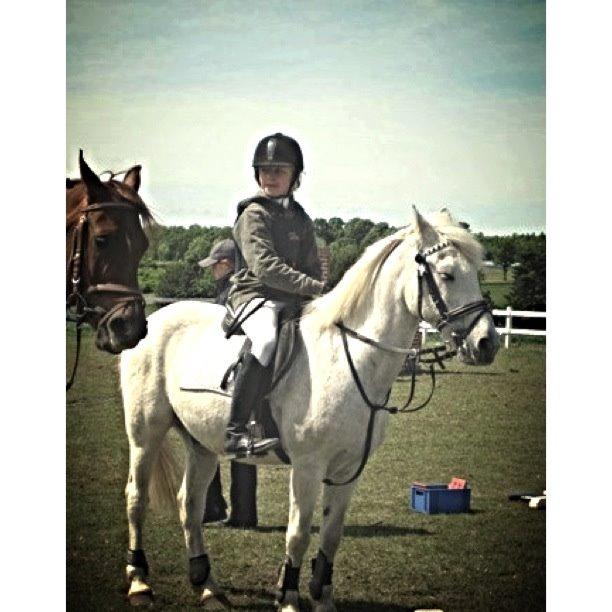 Anden særlig race Junker <3 billede 30