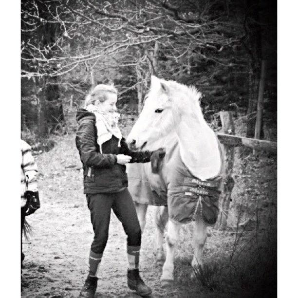 Anden særlig race Junker <3 billede 31