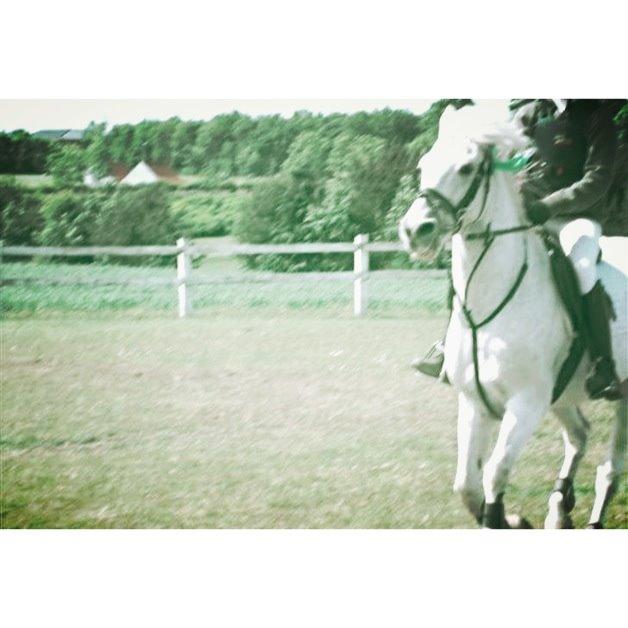 Anden særlig race Junker <3 - I hjertet gemt, men aldrig glemt <3 billede 33