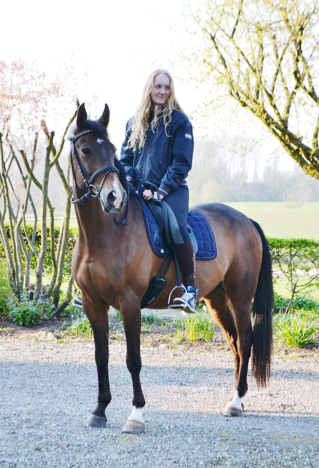 Fuldblod (XX) Fly - Min prins<3 billede 20