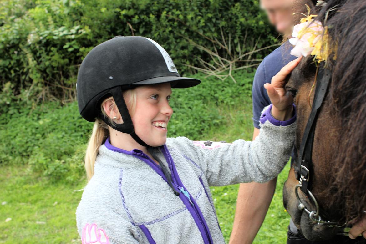 Islænder Depla frá lunansholti II - det var lige da jeg fik at vide at hun var min<3 billede 9