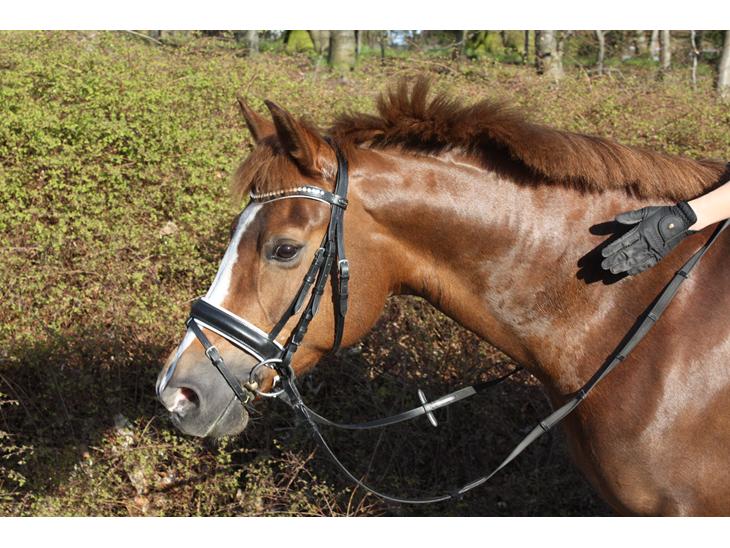 {{currentPhoto.altText}} billede {{currentPhoto.number}}