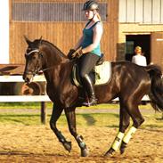 Oldenborg Luna | Hoppebolden |