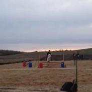 Anden særlig race Oliver