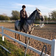 Holstener Carsandro Love