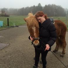 Islænder Baldur fra Hindø