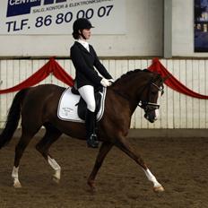 Hollandsk Sportspony Orchid's Marinja B-pony