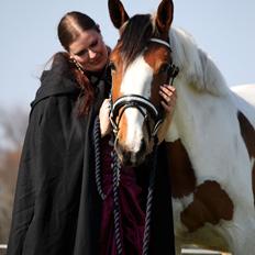 Pinto Love Never Dies (SOLGT) *For evigt elsket <3*