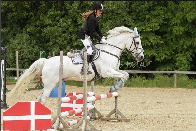 Irsk Sportspony Milton Express - spring stjernen!!!<3:-* billede 16