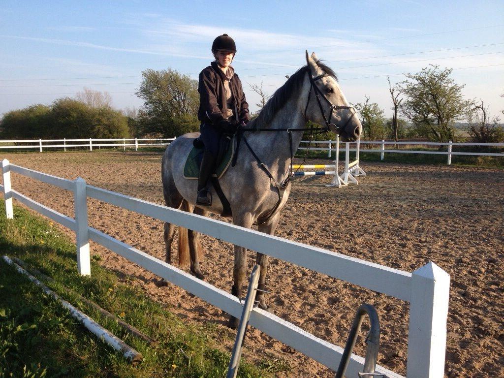 Holstener Carsandro Love billede 1