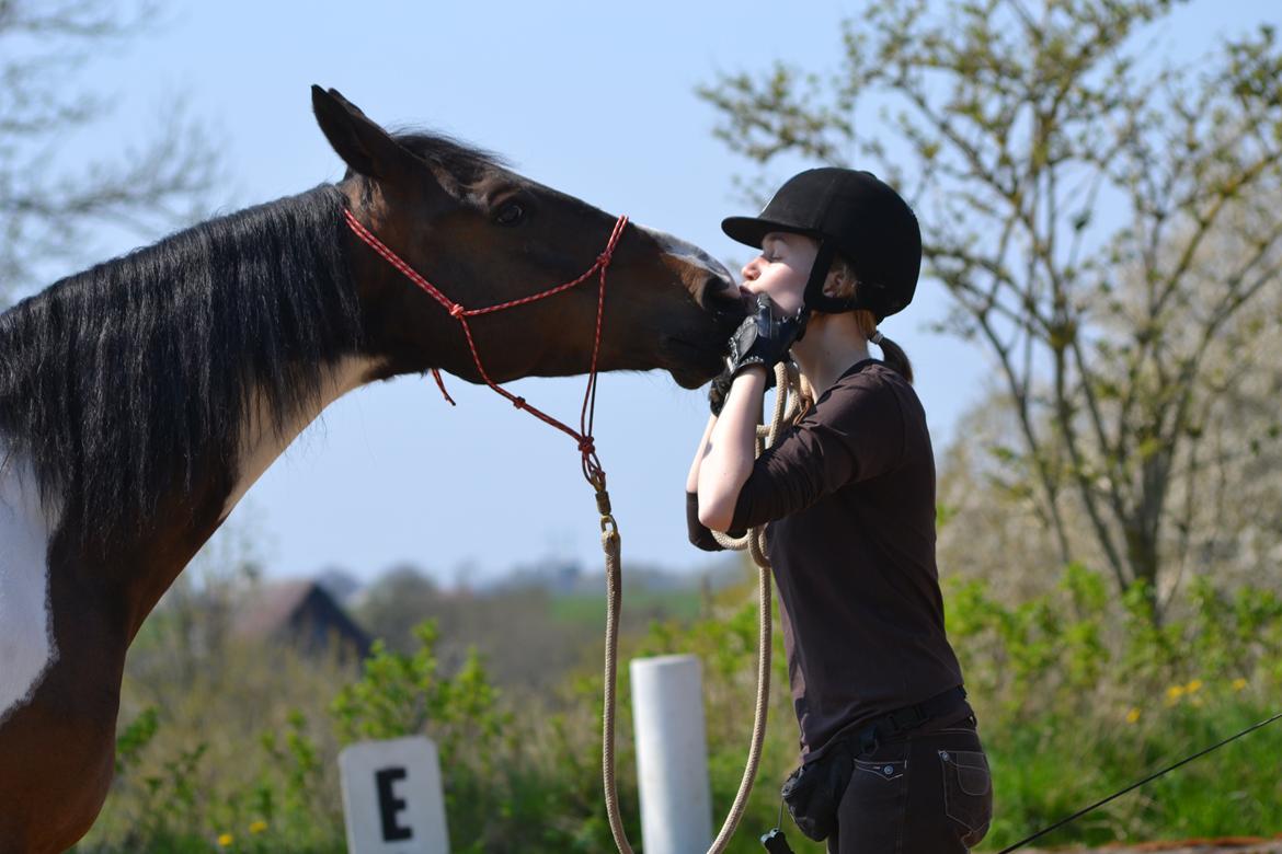 Anden særlig race Picasso - Picassos 7 års fødselsdag 20/4-2014 billede 4