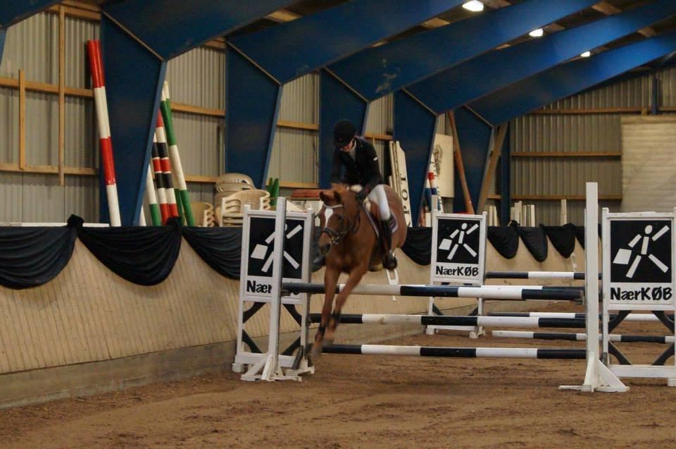 DSP LIND'S PENELOPE M. - Penelope og Louise Riis i LC for hest. billede 1