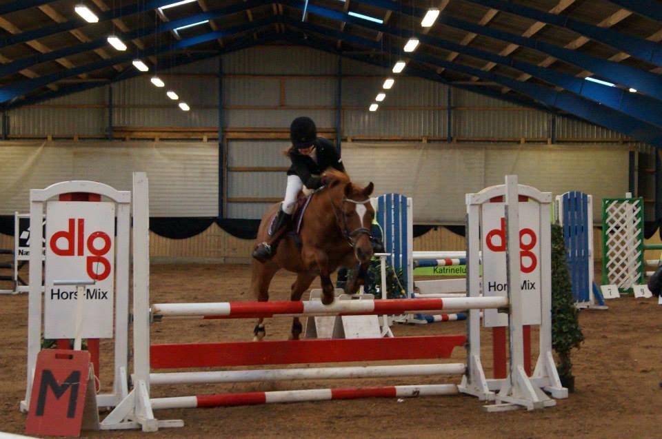 DSP LIND'S PENELOPE M. - Penelope og Louise Riis i LC for hest. billede 19
