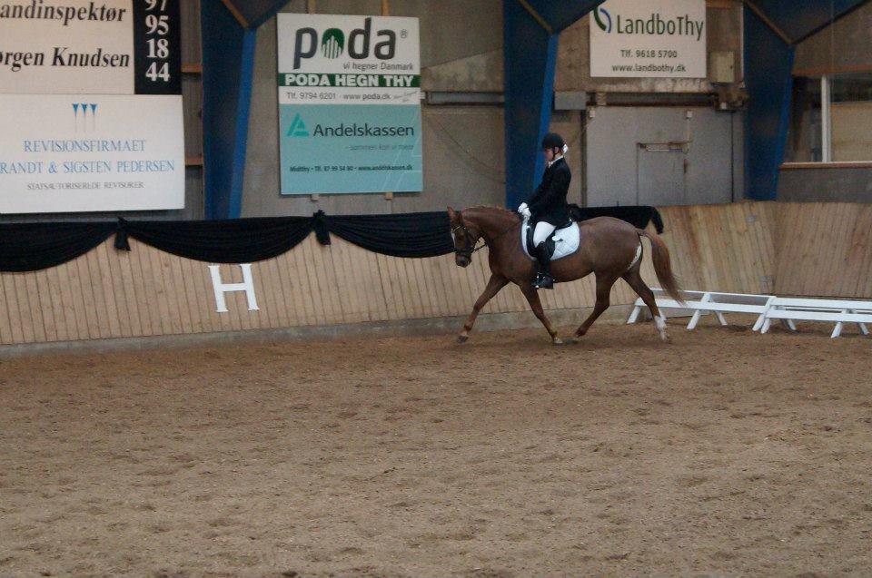 DSP LIND'S PENELOPE M. billede 7