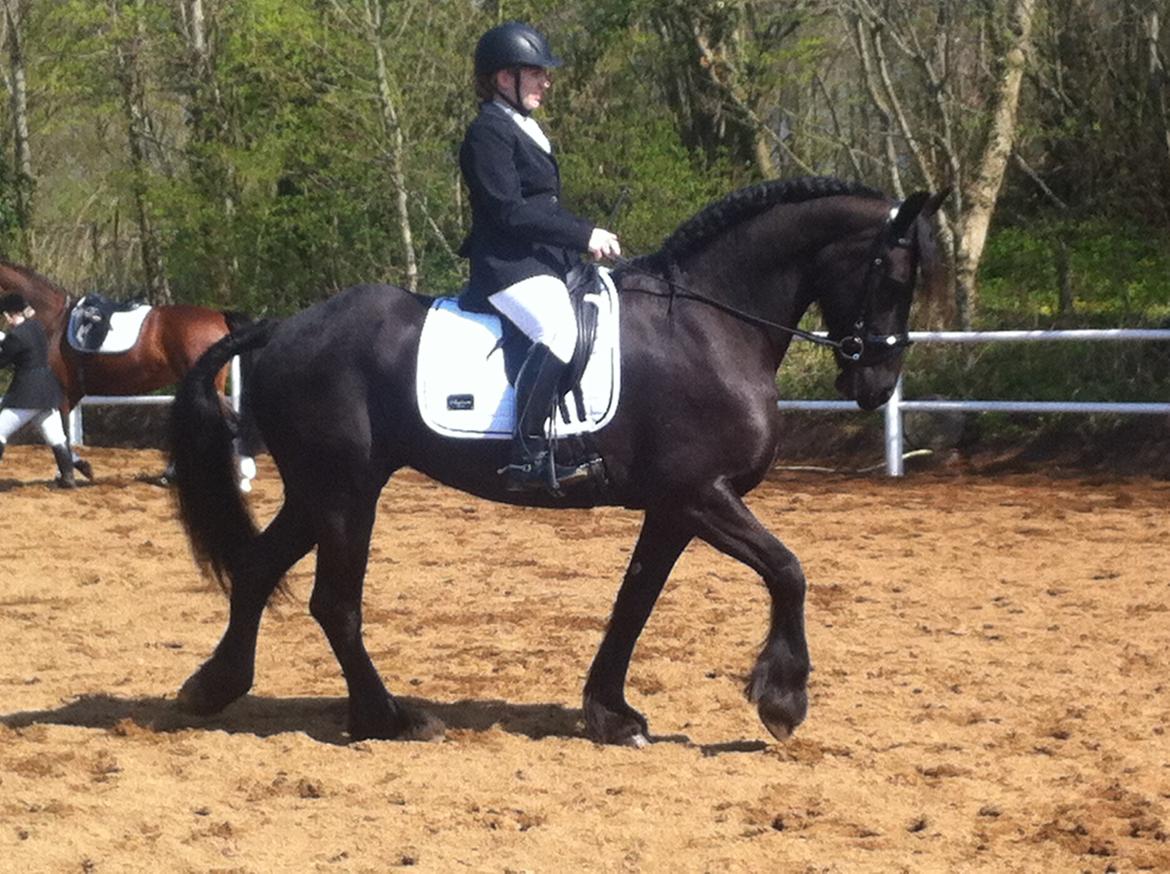 Frieser Freja billede 5