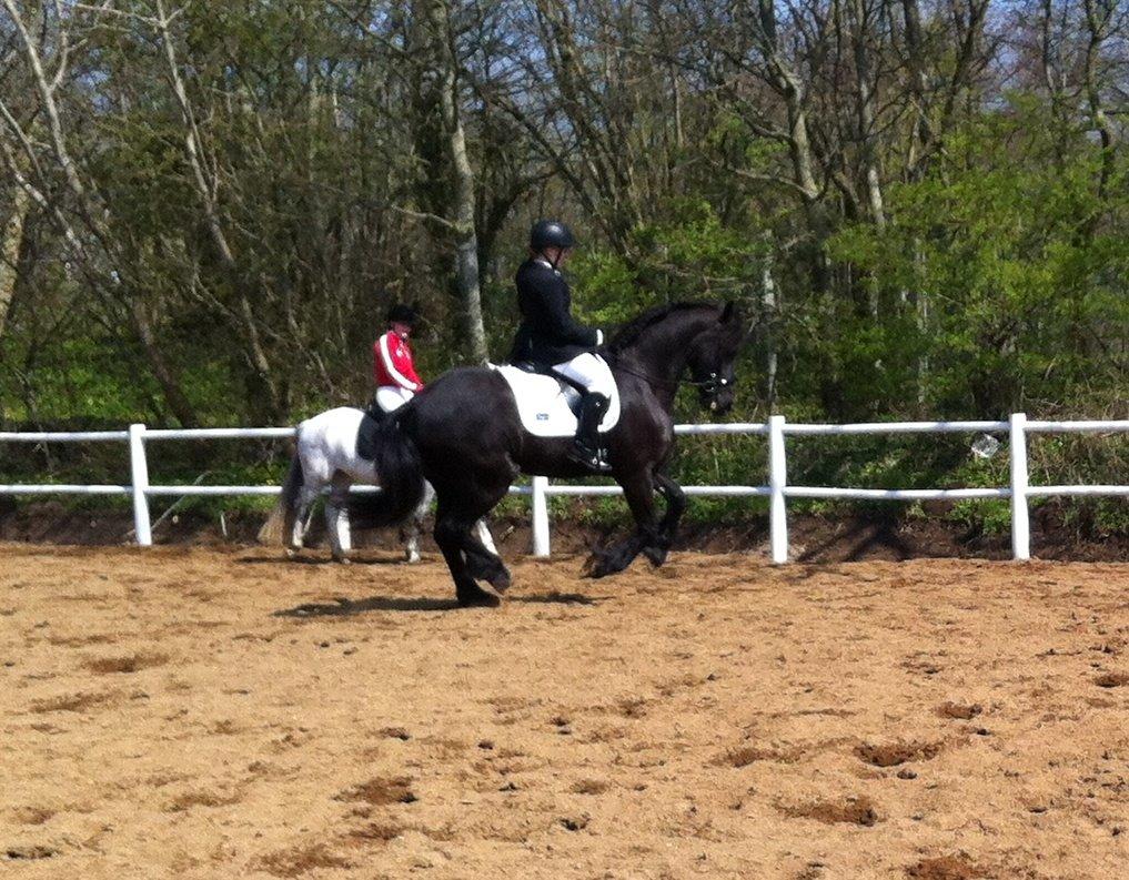 Frieser Freja billede 8