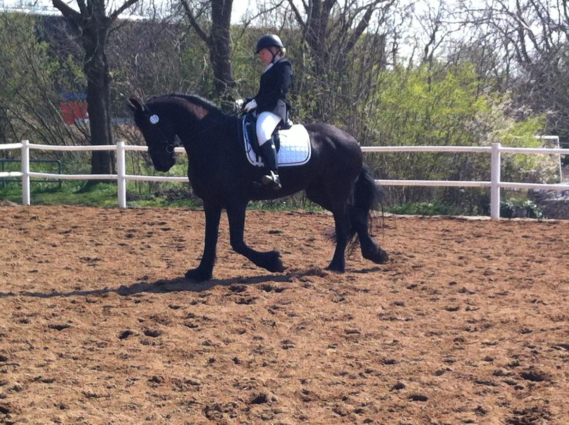 Frieser Freja billede 9