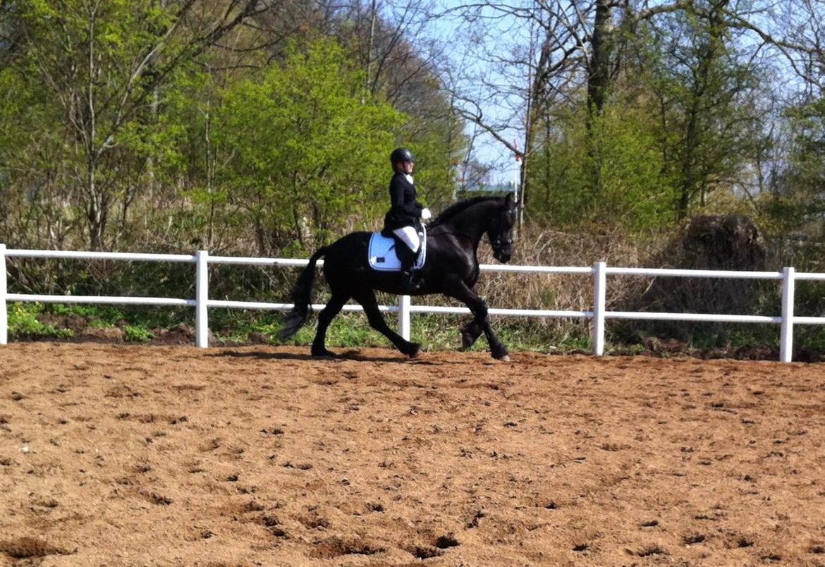 Frieser Freja billede 4