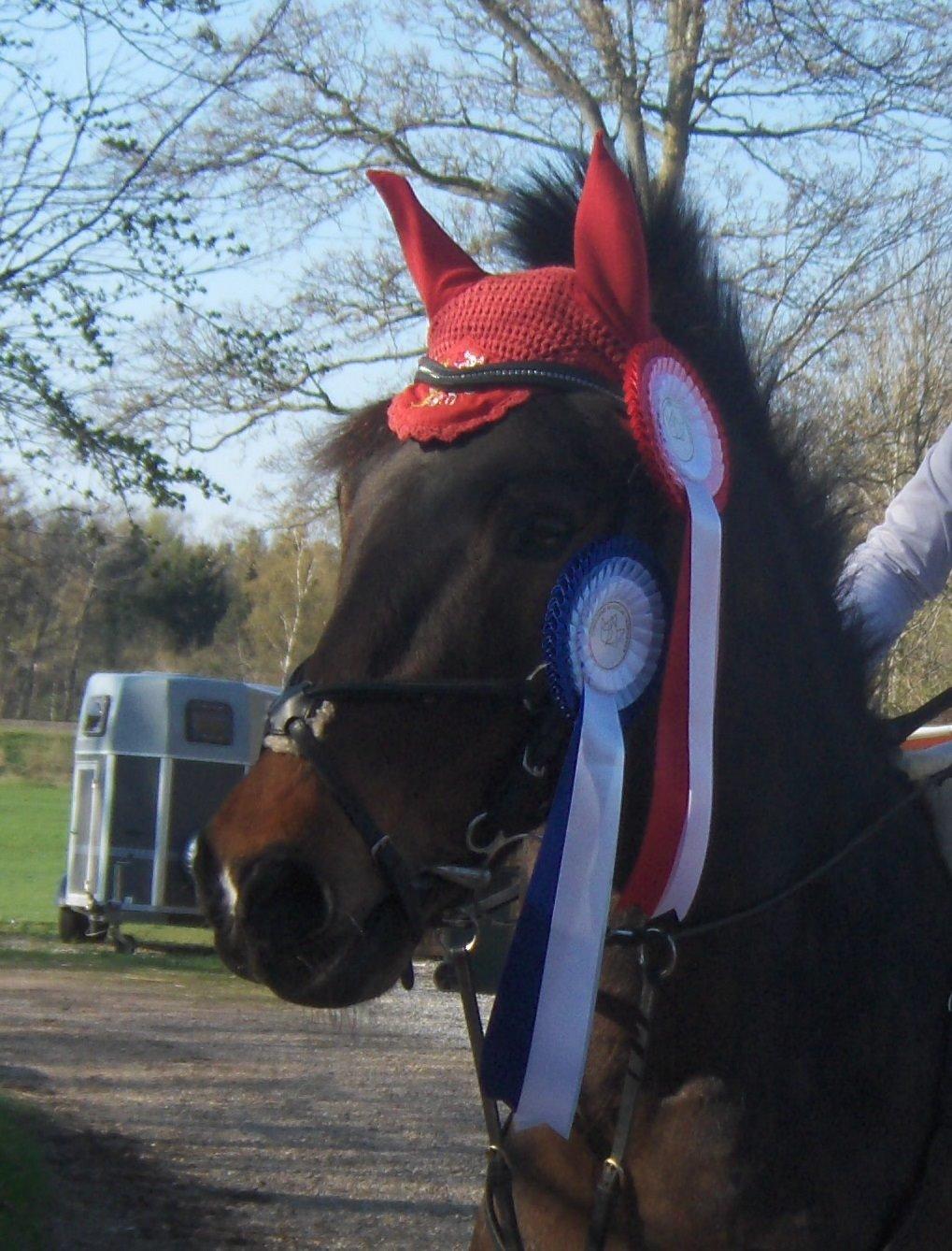 Anden særlig race Balou billede 1