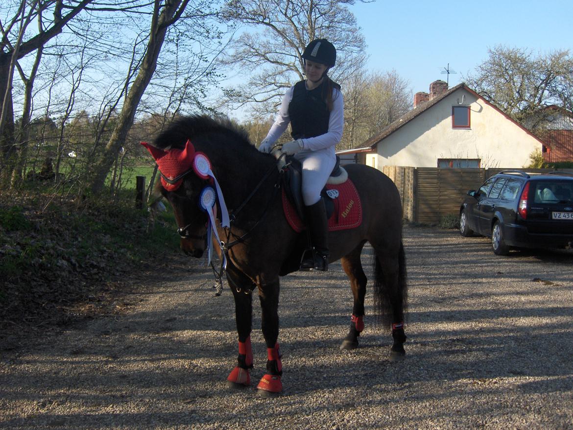 Anden særlig race Balou billede 13