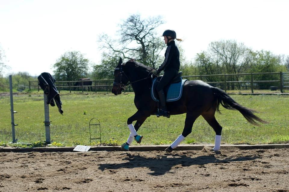 DSP Kjær's Calderina - 19-04-2014 billede 3