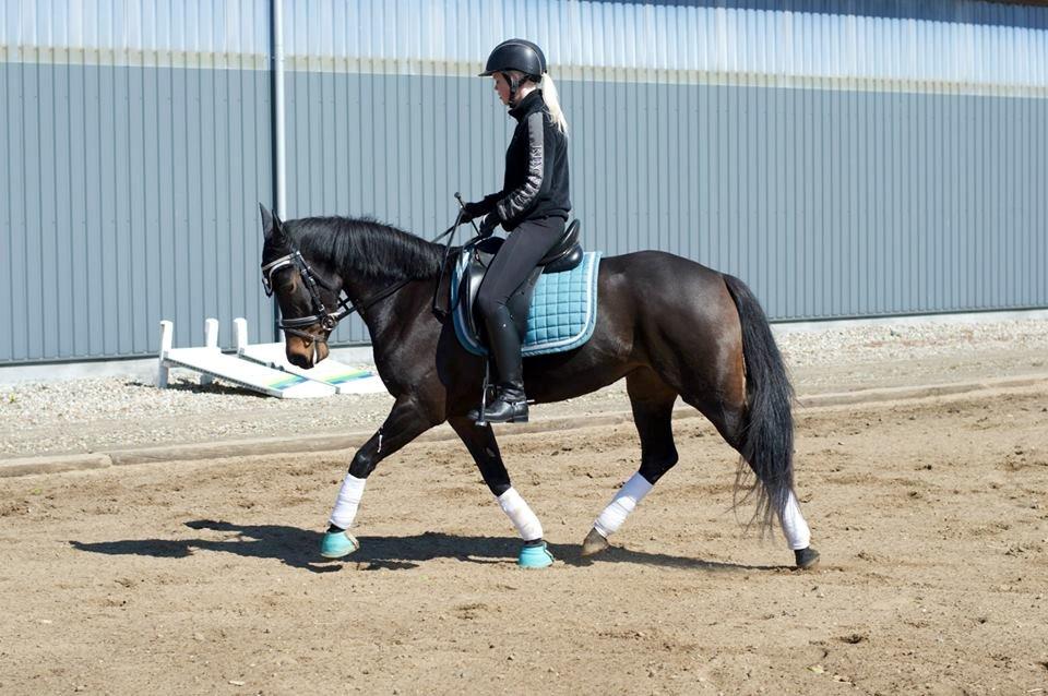 DSP Kjær's Calderina - *Letridning* billede 11