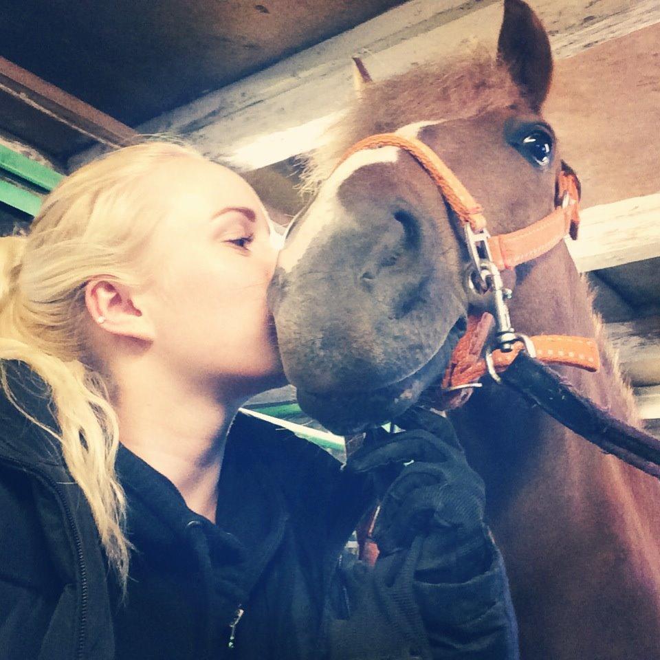 New Forest Horsemosens May Bazar billede 18