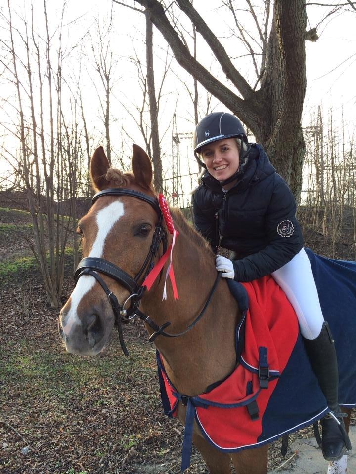 New Forest Horsemosens May Bazar billede 19