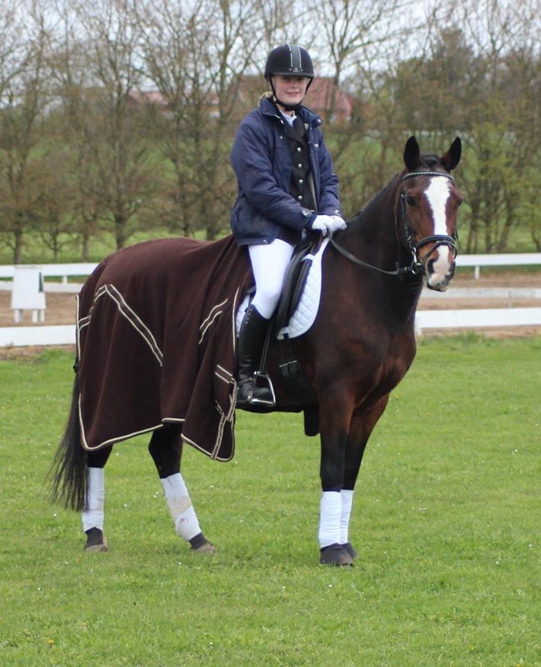 Anden særlig race Maddie billede 7