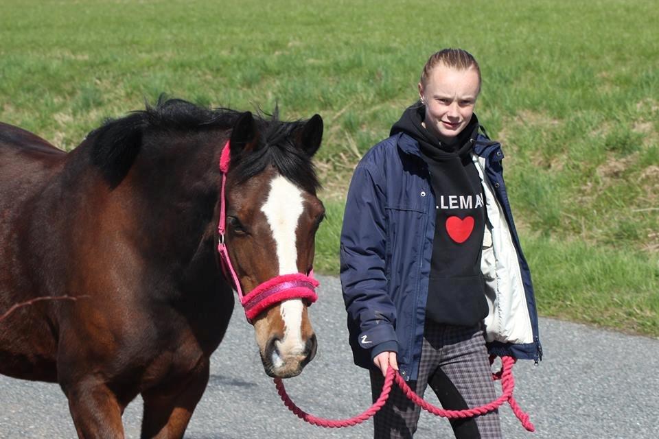 Anden særlig race Maddie billede 9