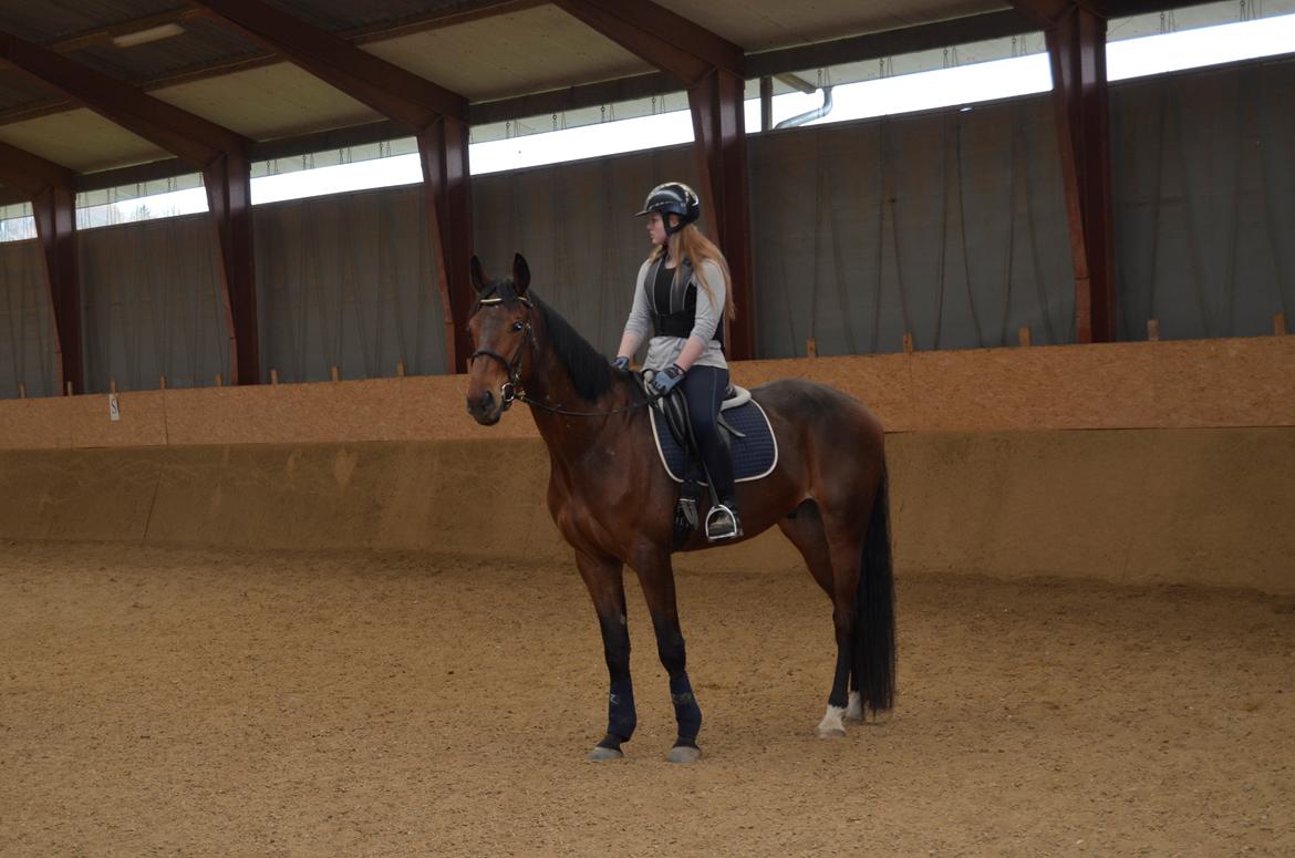 Anden særlig race Enghavegaards Fifty Cent - 21-04-2014 billede 12