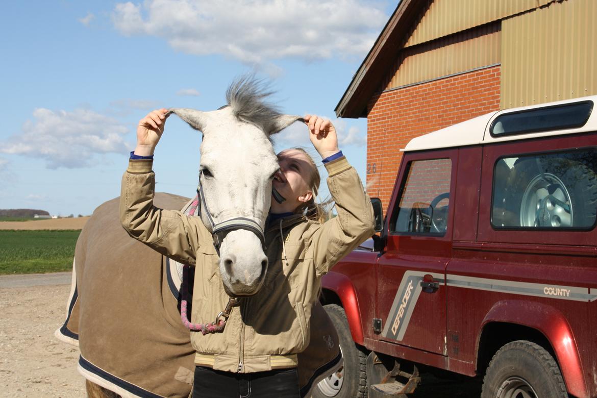 Connemara Mosegårdens Mascha  - "et billede siger mere end tusind ord!!<3" billede 15