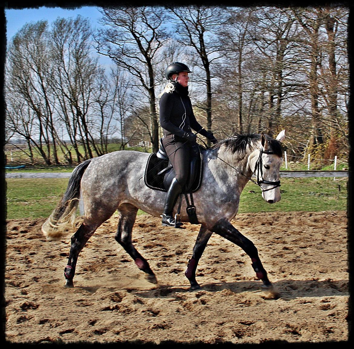 Holstener Castinè - Marts 2014... billede 18