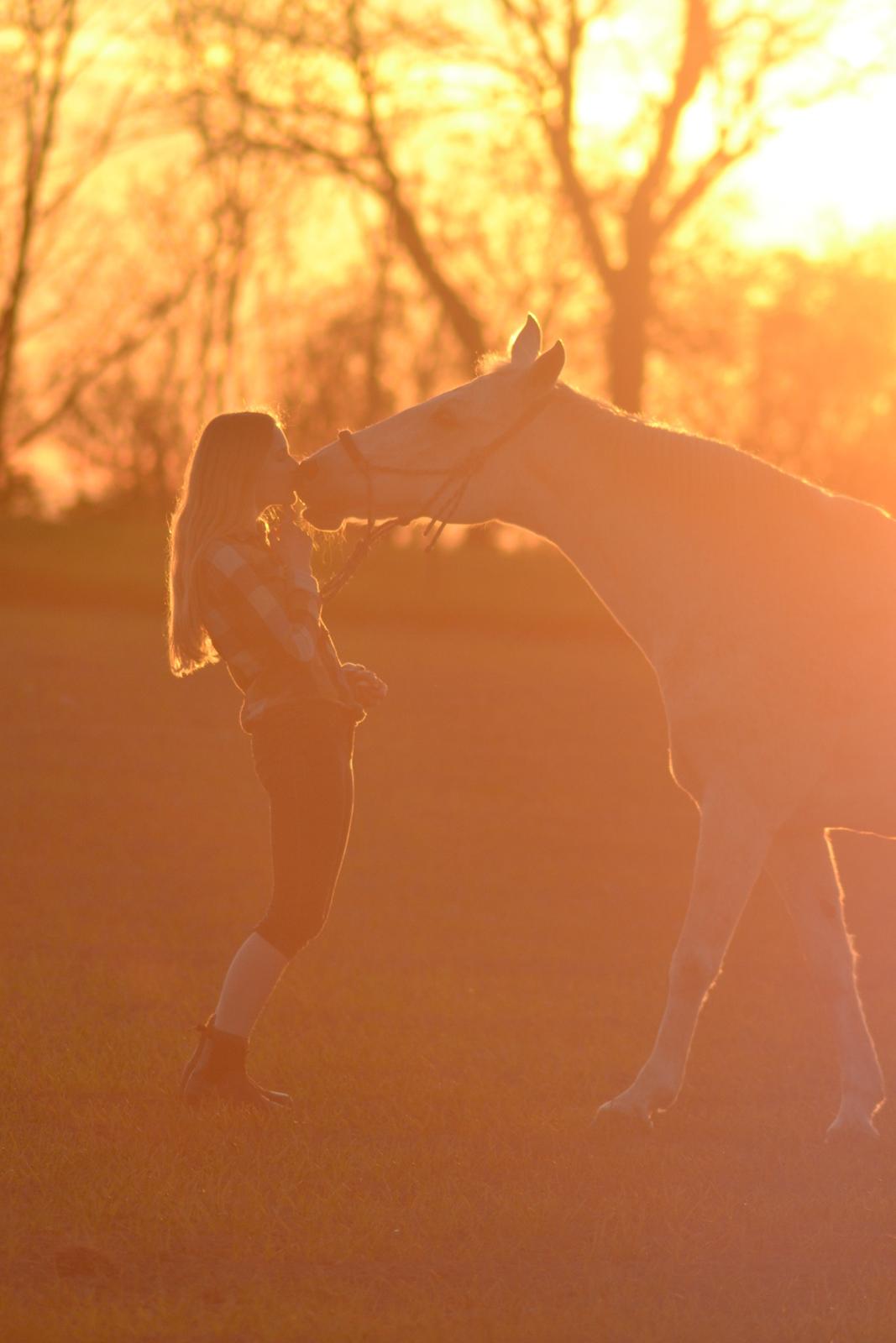 Anden særlig race Mon Cherie (Himmelhest) billede 6