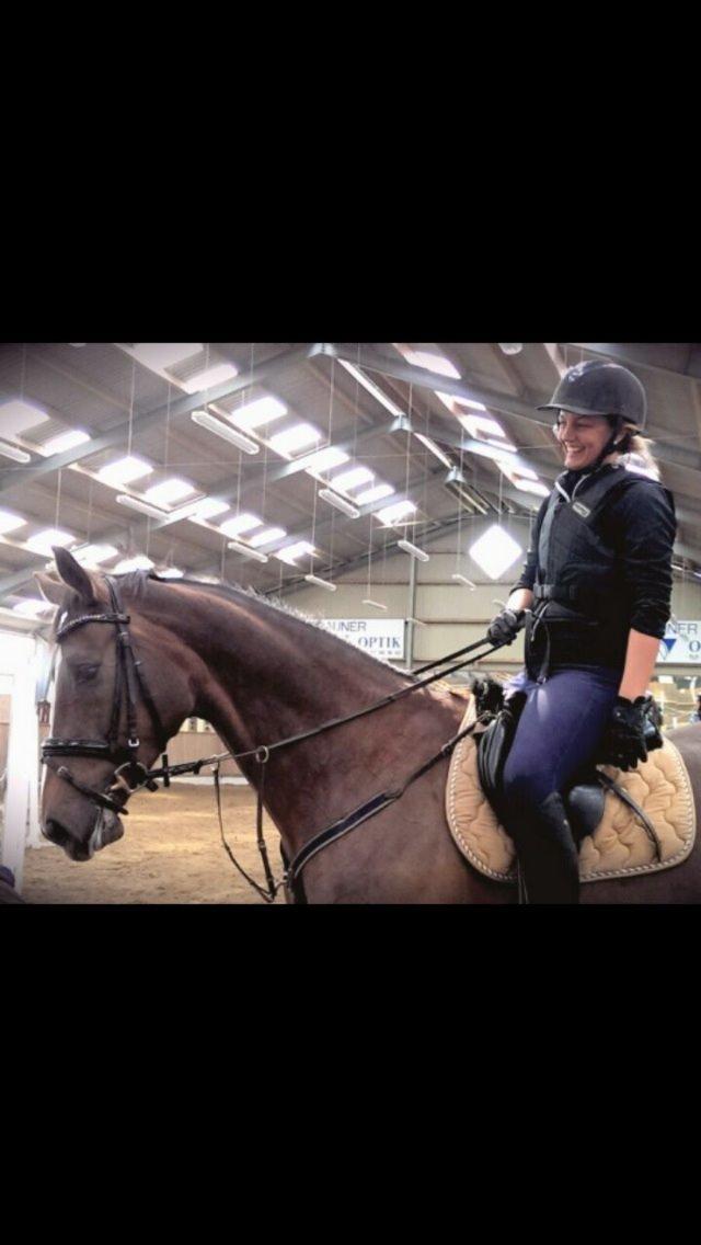 Dansk Varmblod Lykkehøjs Amalie (Klister) billede 9