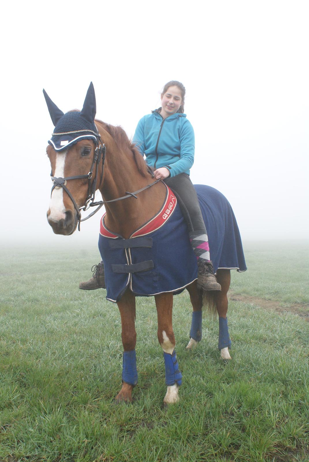 Dansk Varmblod Engeplet Charmeur <3 *Vildhesten* - Med tro, håb og kærlighed kommer man længst <3 billede 31