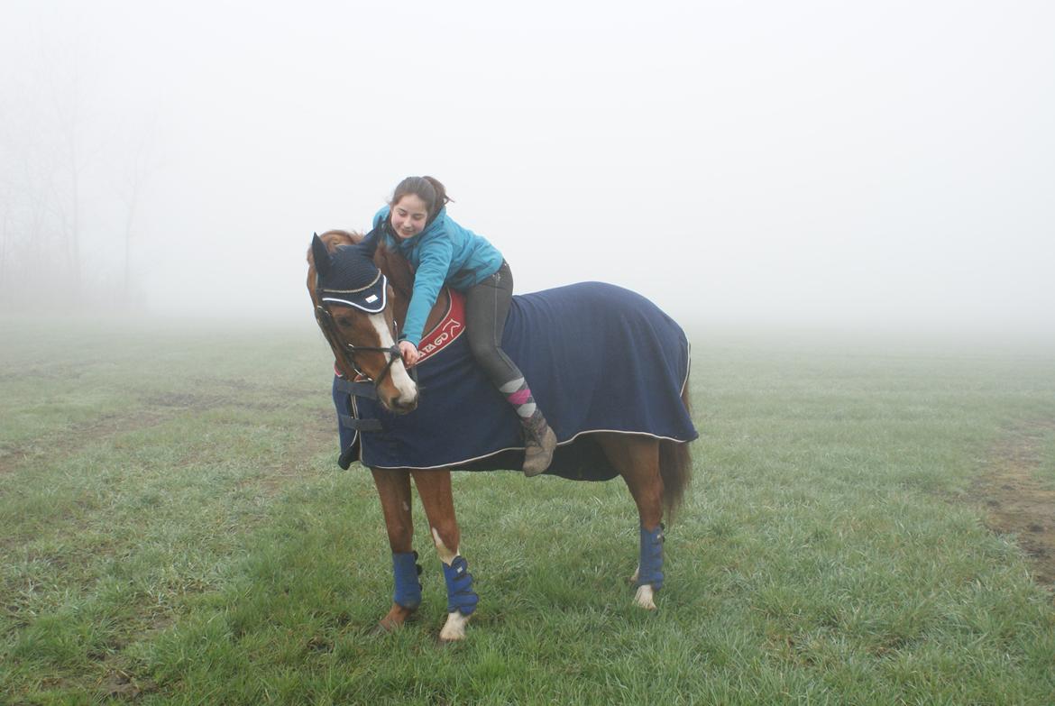 Dansk Varmblod Engeplet Charmeur <3 *Vildhesten* - Dig og mig mod resten af verdenen!! :-* <3 billede 6