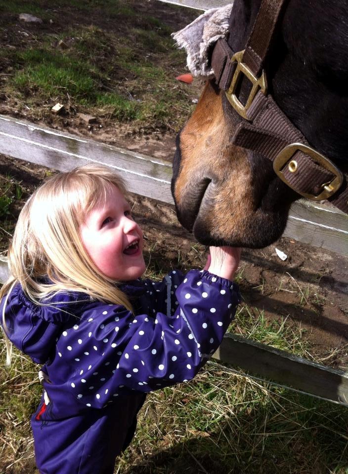 Fuldblod (XX) Eko Royal Emperor - "Hva' laver han? Driller han? Han er fjollet." 
- Selv Laura, min lillesøster på 4 år, er blevet vild med ham, så dejligt! - Gammelt billede 11