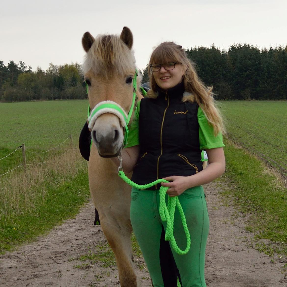 Fjordhest | Odin Møldrup | Hotte  billede 10